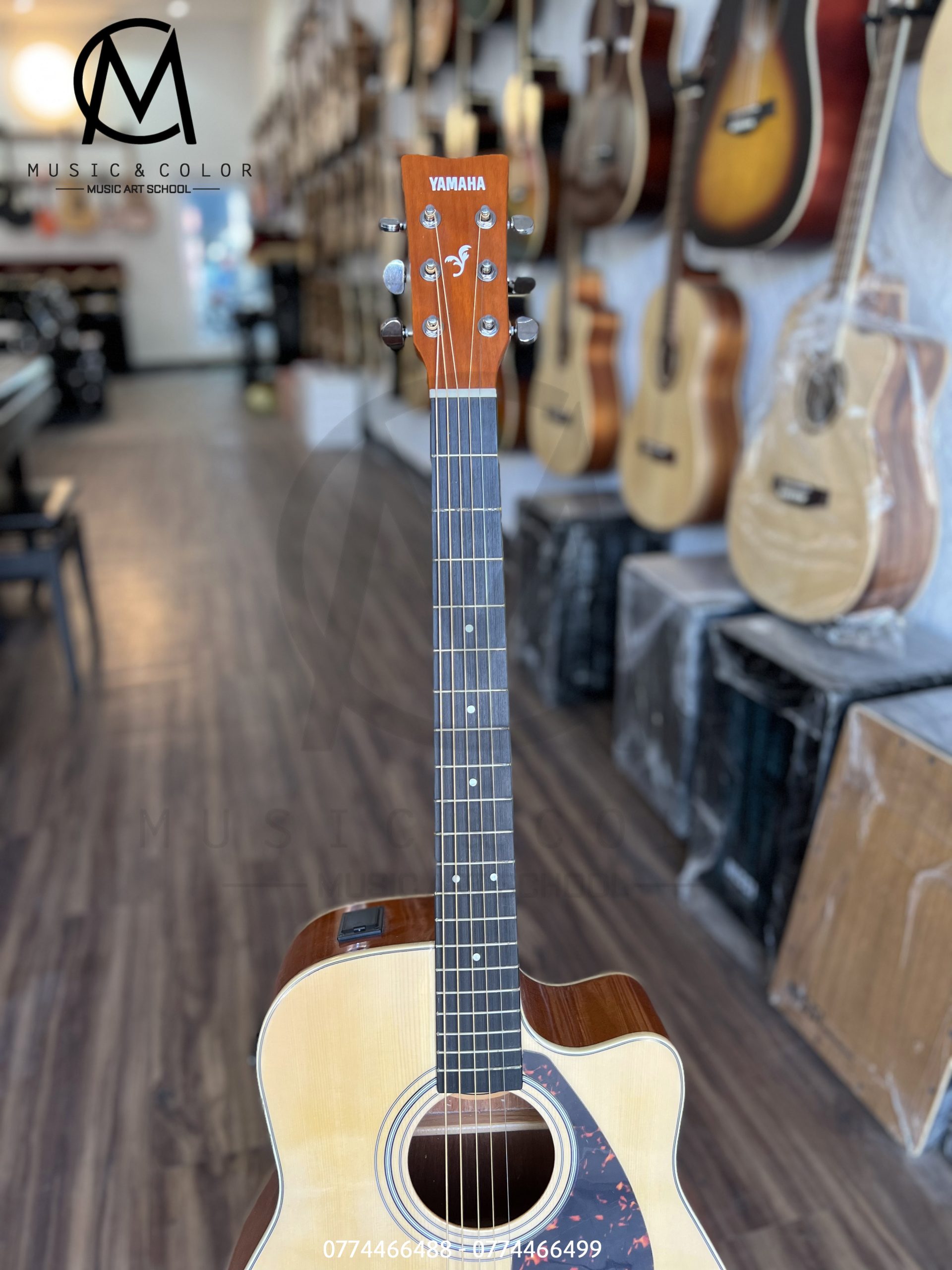Guitar Acoustic Yamaha