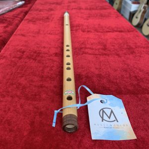 Sáo TS50
