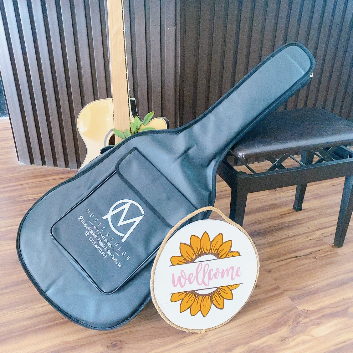 Bảo da đàn Guitar