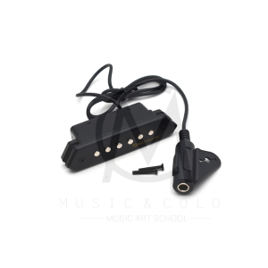 Bộ Thu AM Guitar-Pickup