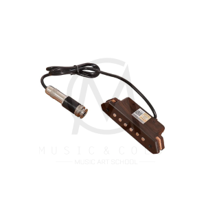 Bộ thu âm- Pickup Guitar