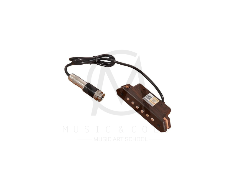 Pickup A810. Bộ thu âm- Pickup Guitar