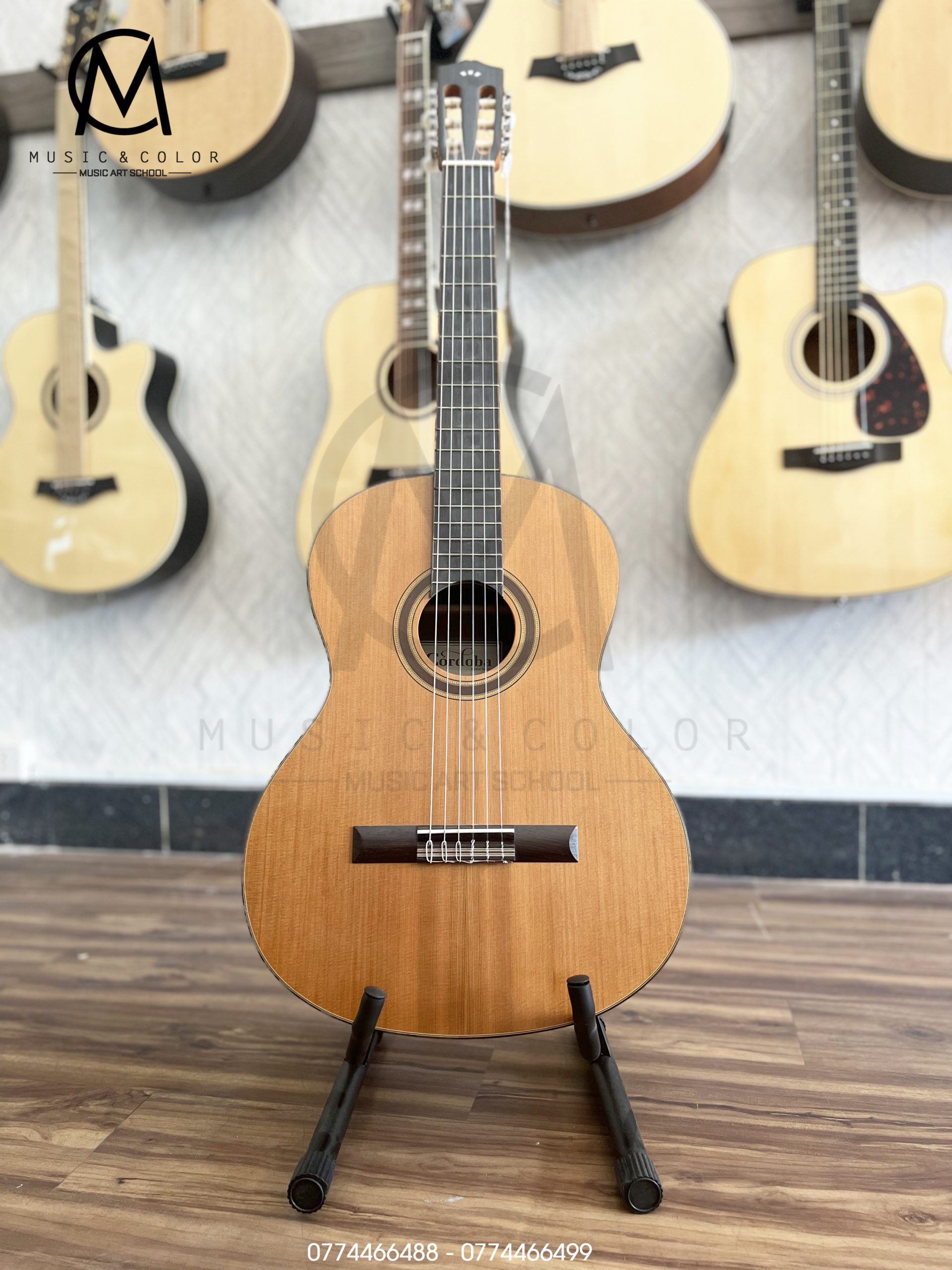 Cho thuê đàn guitar