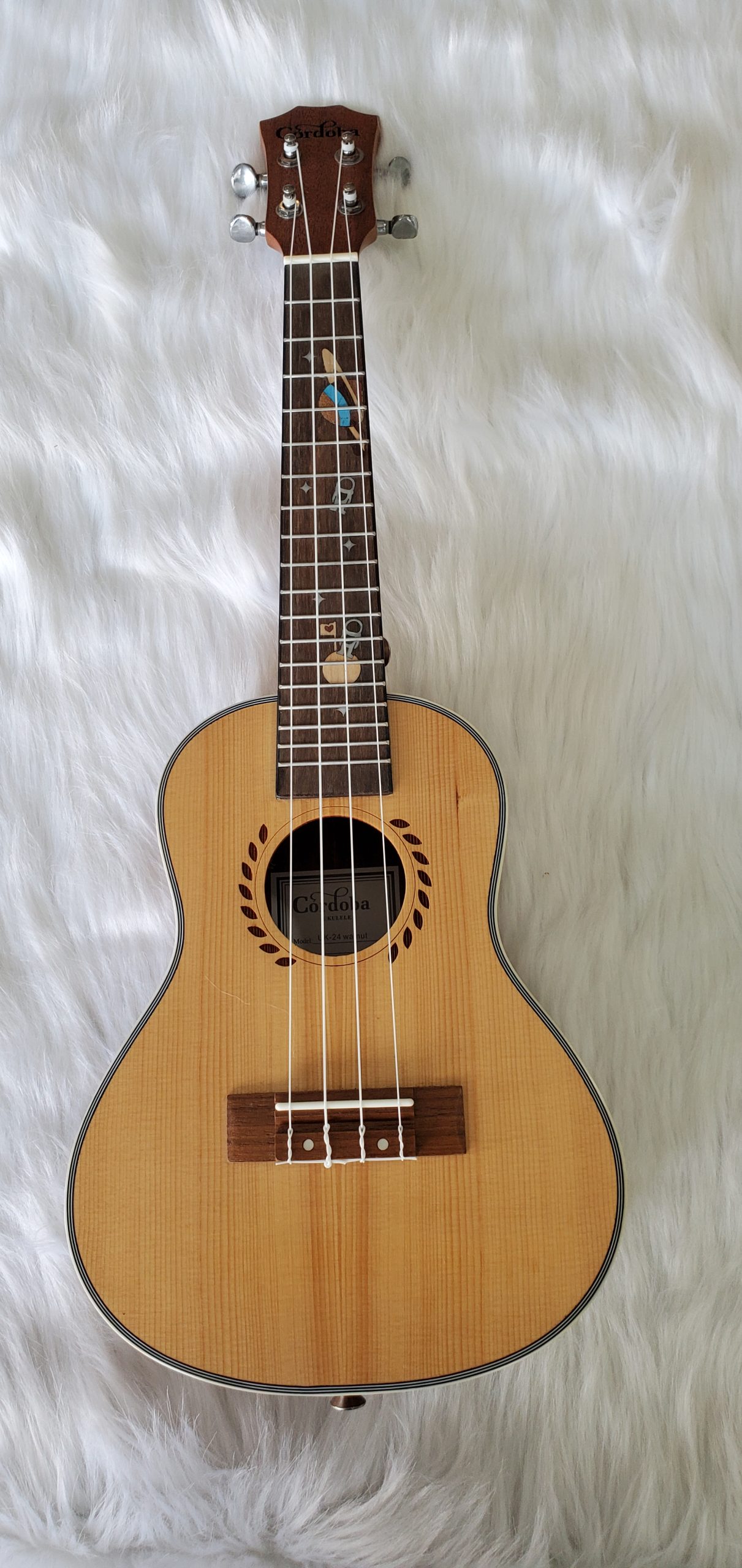 Không chỉ dễ học, dễ chơi với mức giá hợp lí mà ukulele còn mang lại cho người chơi nhiều lợi ích bất ngờ