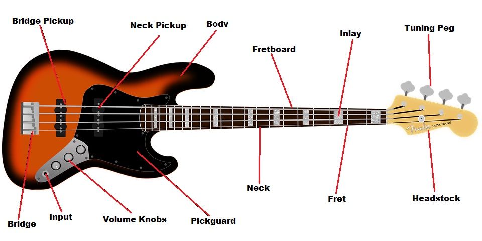 Cấu tạo guitar bass