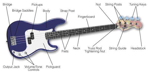 Cấu tạo đàn bass