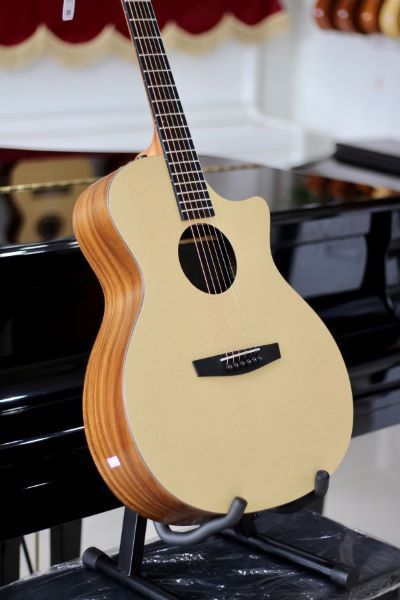 Guitar Enya EGA-X0