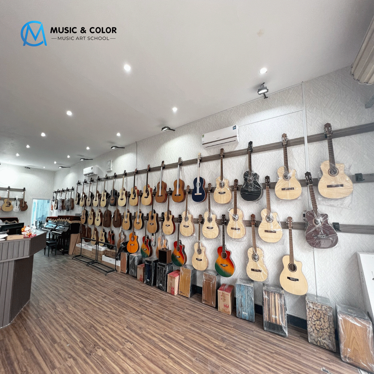Showroom guitar tại Music&Color với nhiều mẫu đàn dành cho người mới bắt đầu.